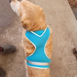 Boots and Barkley Dog Harness XL